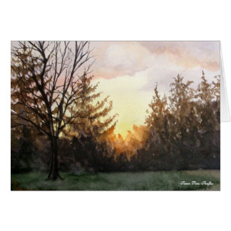 Zon uit mijn studio raam