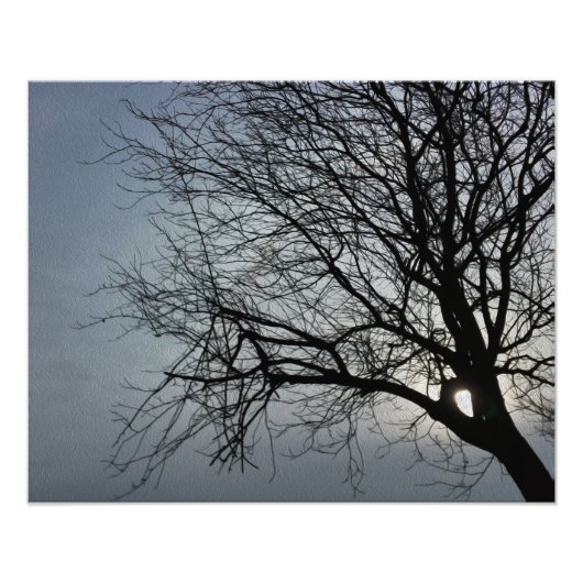 zon verbergt zich foto afdruk (Voorkant)
