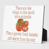 Zon Verwarmde Tomaten Fotoplaat (Zijkant)
