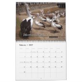 Zon, Zee en Surf 12 Maandkalender Kalender (Feb 2027)