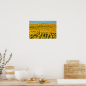 Zonbloemen Galore Poster (Keuken)