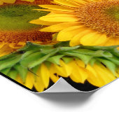 Zonbloemen Happy Yellows Poster Wall Decor (Hoek)