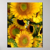 Zonbloemen Happy Yellows Poster Wall Decor (Voorkant)