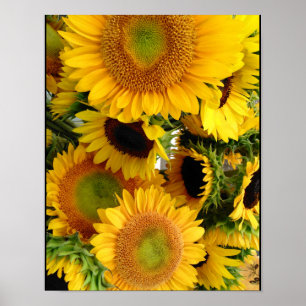 Zonbloemen Happy Yellows Poster Wall Decor