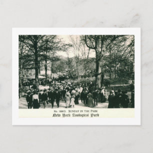 Zondag in de Bronx Zoo-Vintage Briefkaart