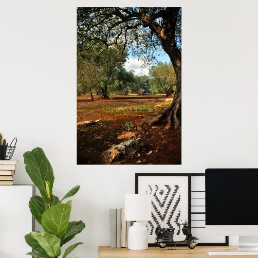 Zondag in de olijftuin poster (Thuiskantoor)