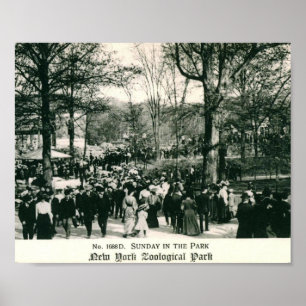 Zondag in de Vintage van de Bronx-dierentuin Poster