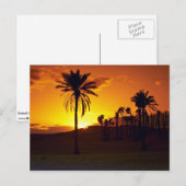 Zondag in de woestijn, de Sahara, de Tunesische wo Briefkaart (Voorkant / Achterkant)