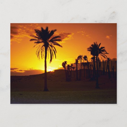 Zondag in de woestijn, de Sahara, de Tunesische wo Briefkaart (Voorkant)