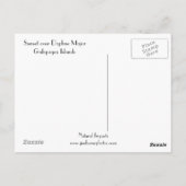 Zondag over Daphne Major Briefkaart (Achterkant)