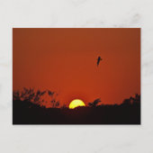 Zondag over de Marsh Briefkaart (Voorkant)