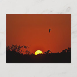 Zondag over de Marsh Briefkaart