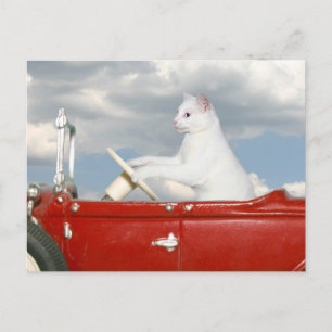 Zondag rijden briefkaart