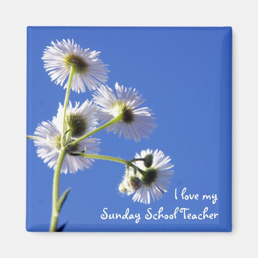 Zondag school leraar magneet (Voorkant)