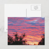 Zondag zomer briefkaart (Voorkant / Achterkant)