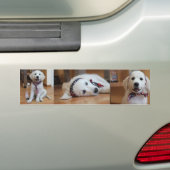 Zonder de VS, Amerika Bumpersticker (Op auto)
