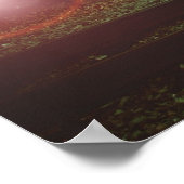 Zonder pitten 2009-2010 poster (Hoek)