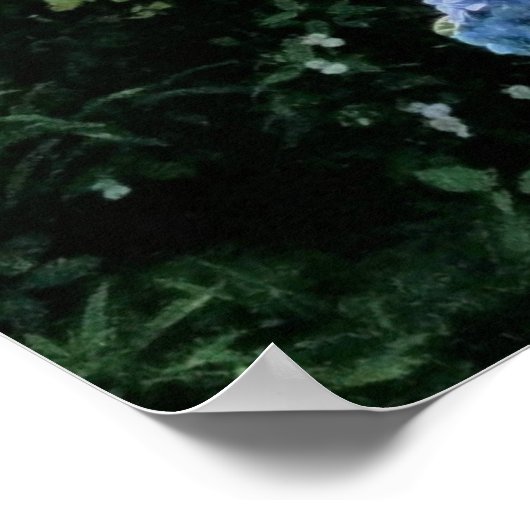 Zonder Rosy Bend Poster (Hoek)