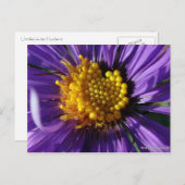 Zonder titel Aster nummer 8 Briefkaart (Voorkant / Achterkant)