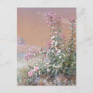 zonder titel   Fidelia Bridges Briefkaart