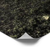 Zonder titel in Miami Poster (Hoek)