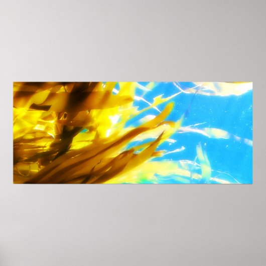 Zonder titel poster (Voorkant)