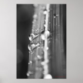 Zonder titel poster (Voorkant)