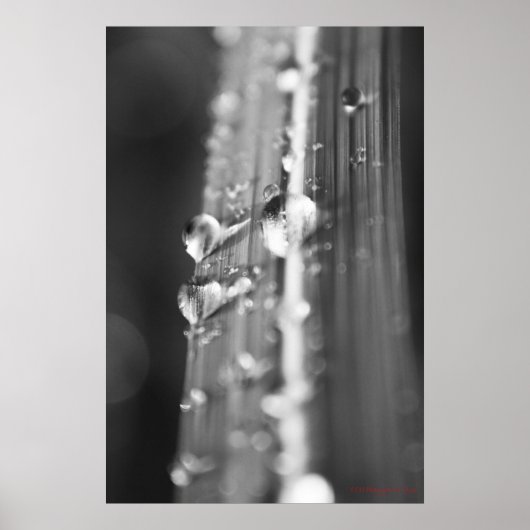 Zonder titel poster (Voorkant)