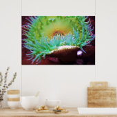 Zonder titel poster (Keuken)