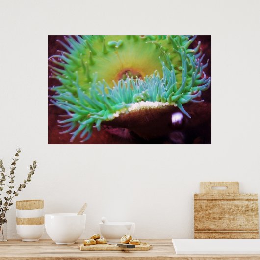 Zonder titel poster (Keuken)