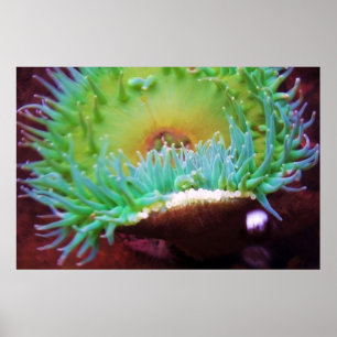 Zonder titel poster