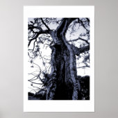 Zonder titel poster (Voorkant)