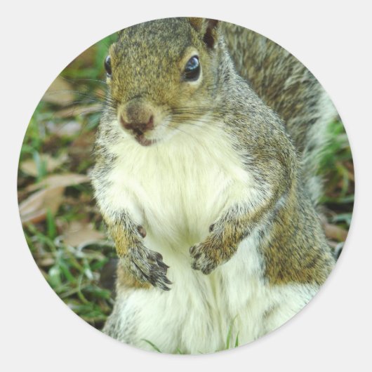 Zonder titel Sticker (Voorkant)