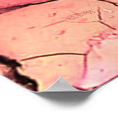 Zonder water poster (Hoek)