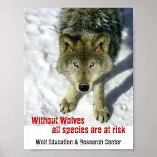 Zonder Wolven Poster