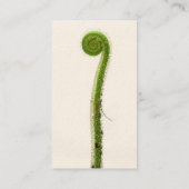 Zondew Plant Visitekaartje (Achterkant)