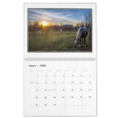 Zonedelijke maandelijkse kalender van Tom Minutolo (Mar 2026)