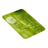 Zonen in avontuur magneet (Rechterzijde)