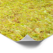 Zonen van een anarchie motorfietspruit! poster (Hoek)