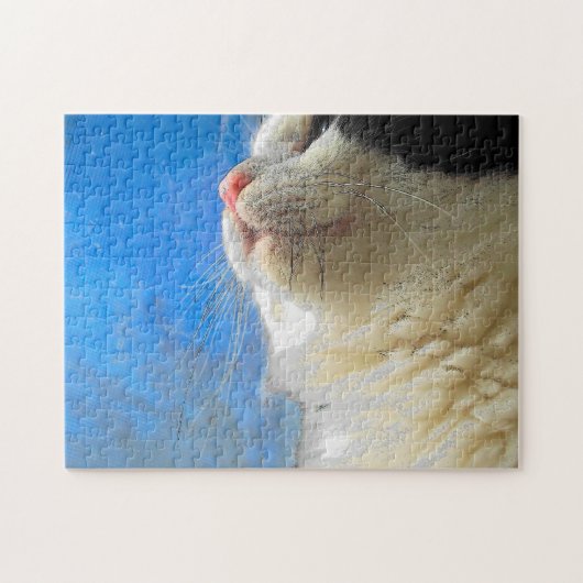 Zonen van mijn whiskers legpuzzel (Horizontaal)