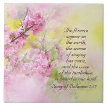 Zong Solomon 2:12 Bloemen verschijnen op aarde
