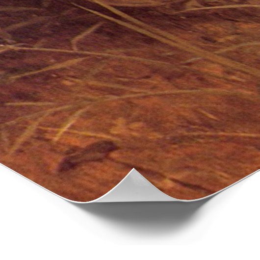 Zong van de Angels William Bouguereau Fine Art Pos Poster (Hoek)