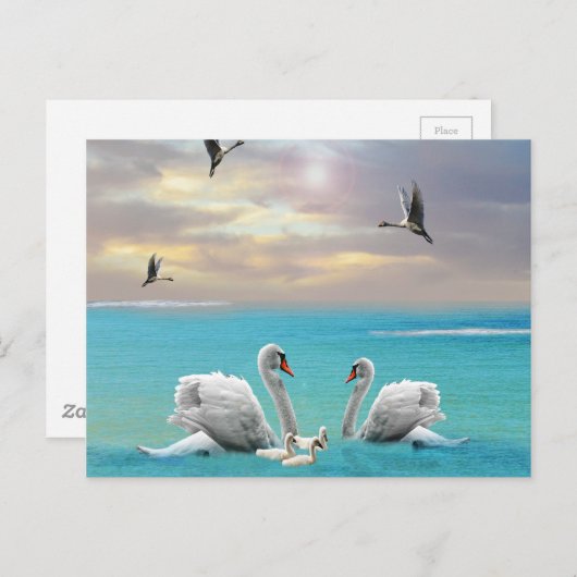 Zong van de witte zwaan, briefkaart (Voorkant / Achterkant)