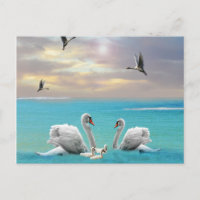 Zong van de witte zwaan,