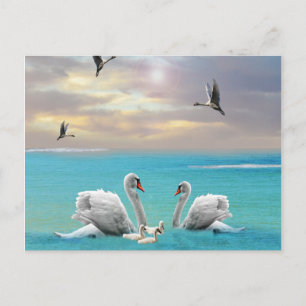 Zong van de witte zwaan, briefkaart