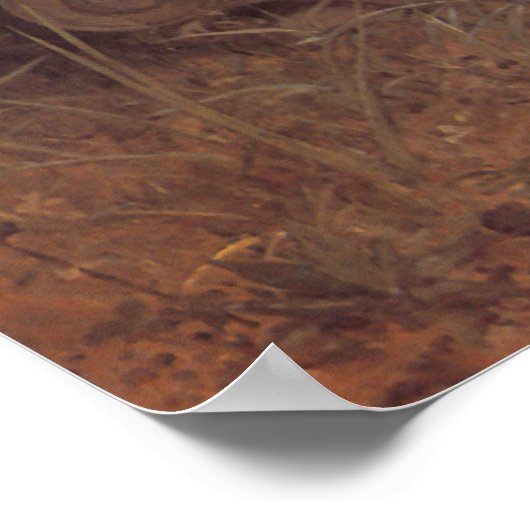 Zong van het Angel-Poster Poster (Hoek)