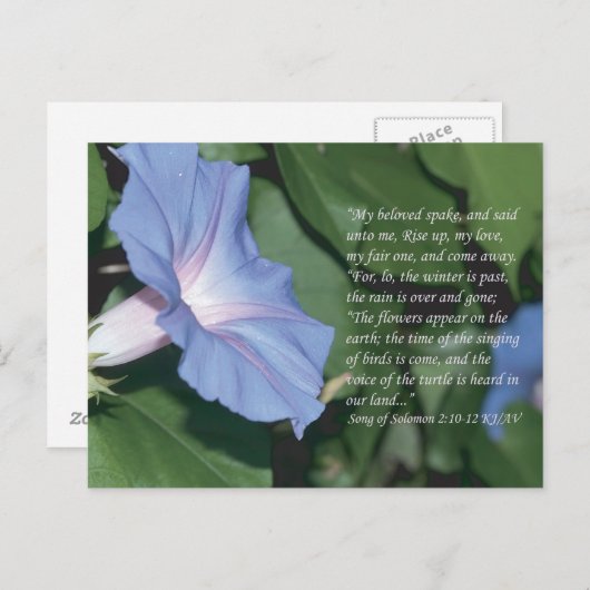 Zong van Solomon 2:10-12 het Briefkaart van de Man (Voorkant / Achterkant)