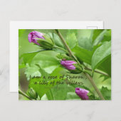 Zong van Solomon 2:1 Briefkaart (Voorkant / Achterkant)