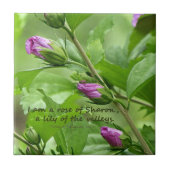 Zong van Solomon 2:1 Tegeltje (Voorkant)