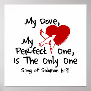 Zong van Solomon 6:9 Poster
